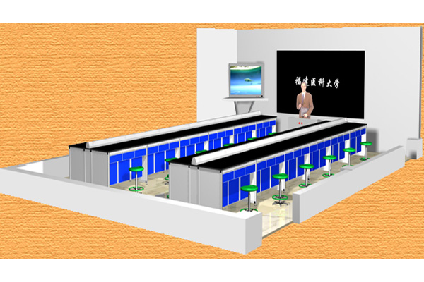 ʵ����Ч��ͼ